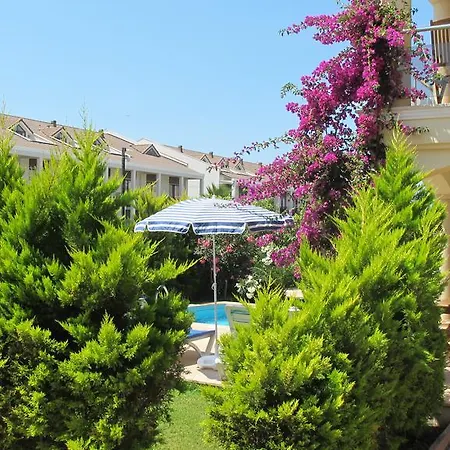 Sunset Beach Club Oyster 09